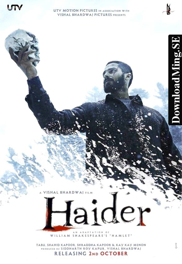 Haider (2014) Hindi 1080P Bluray X264 Dd5 1 Esub - Mkvcinemas