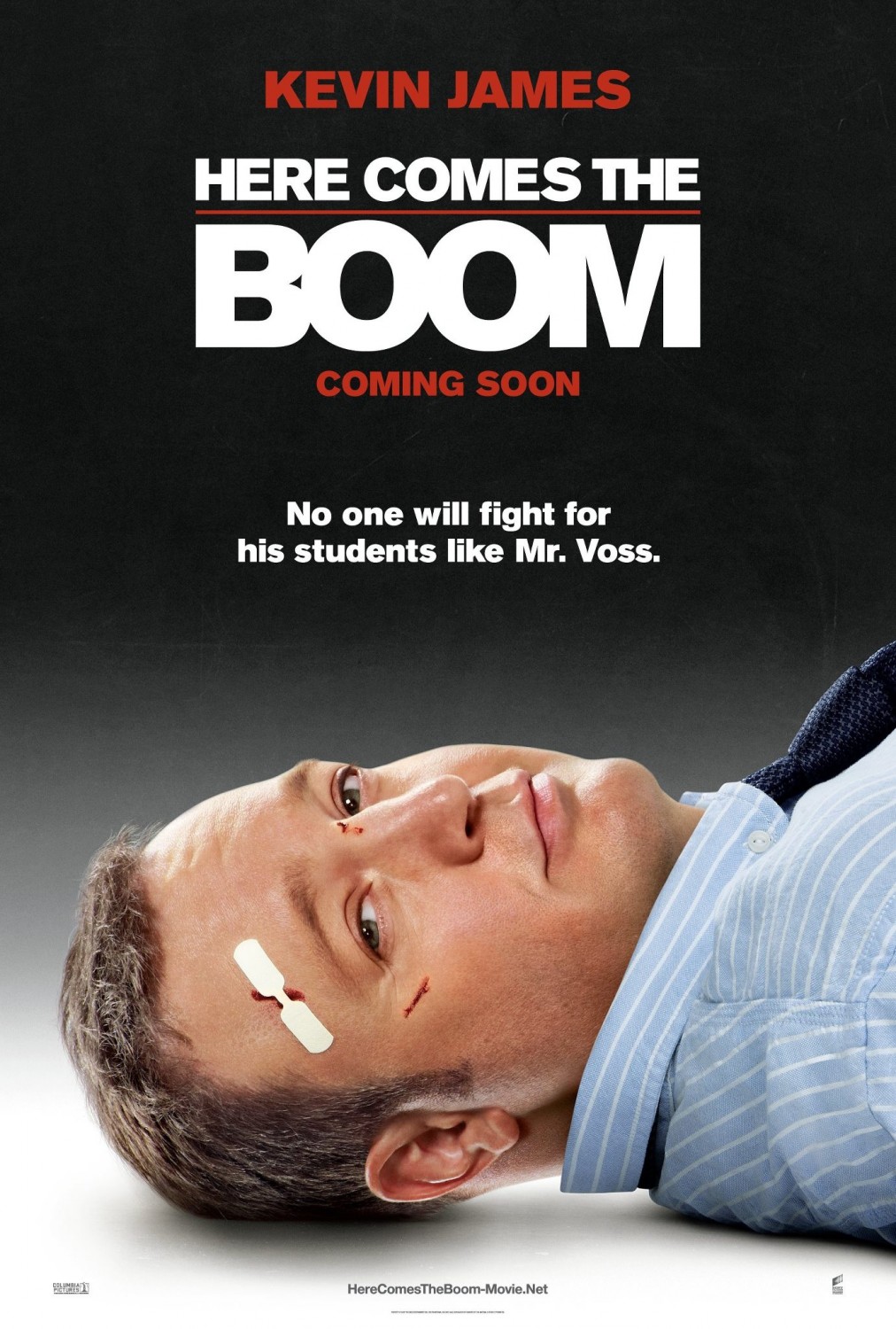 Here Comes The Boom 2012 Brrip Xvid Ac3-Rarbg