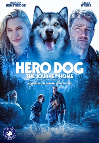 Hero Dog The Journey Home 2021 720P Webrip 800Mb X264-Galaxyrg
