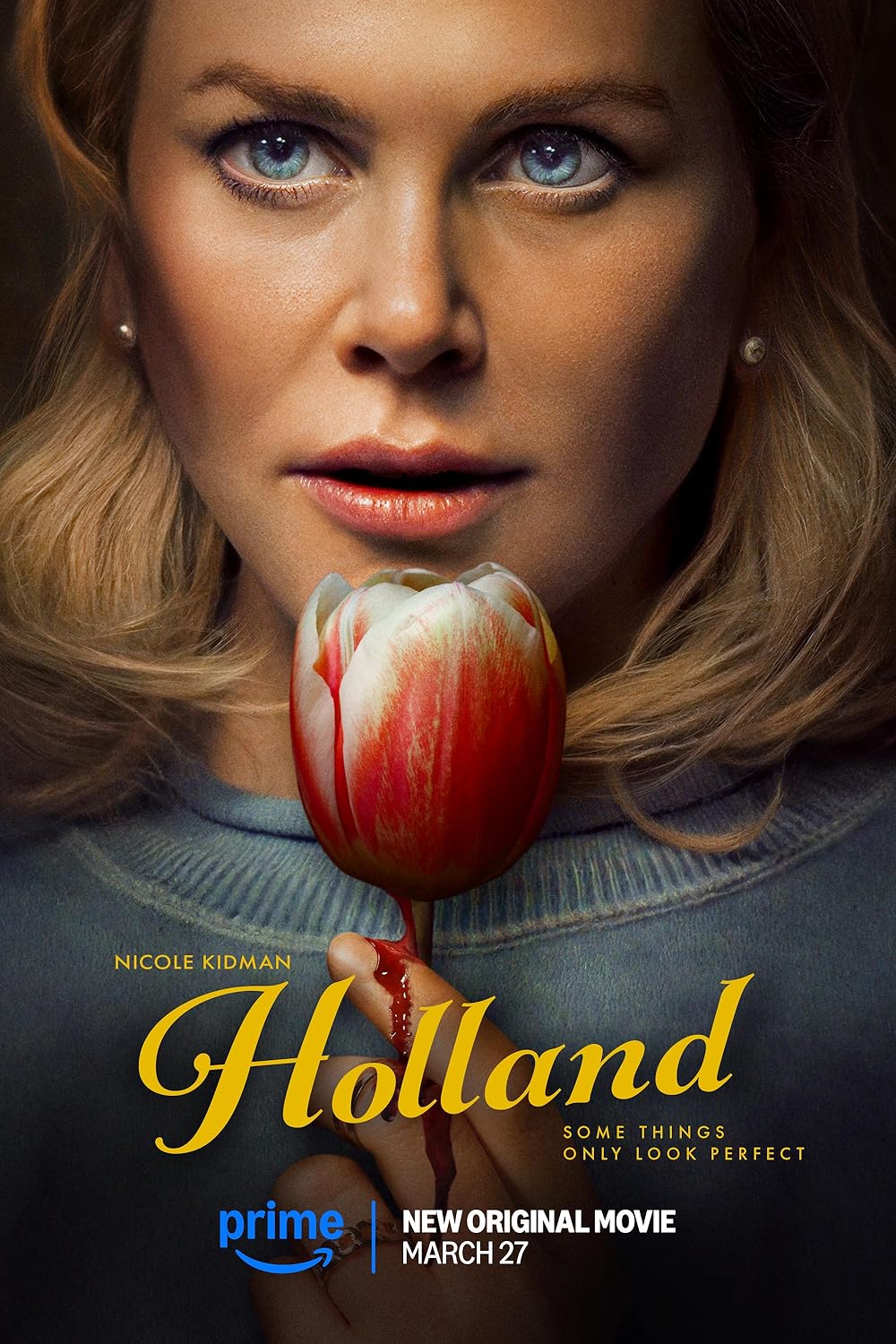 Holland (2025) 720P Amzn Webrip X264 Msubs [Dual Audio][Hindi 5 1 English 5 1] -Mkvc