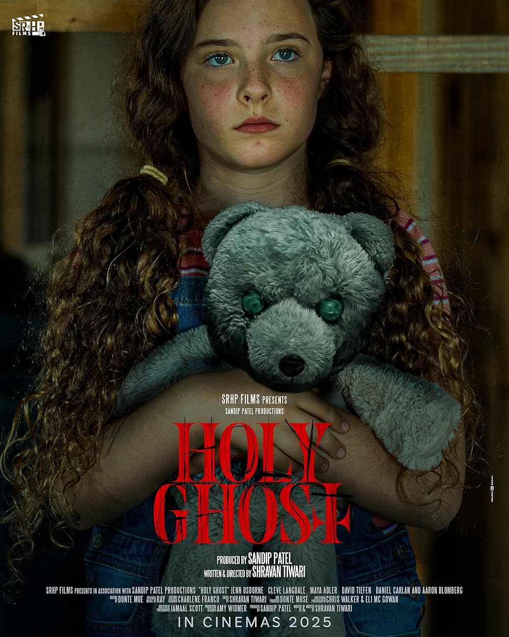 Holy Ghost (2025) 720P Amzn-Web X264 Esub [Dual Audio][Hindi 2 0 English 5 1] -Mkvc