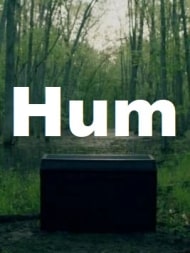 Hum 2020 720P Webrip 800Mb X264-Galaxyrg