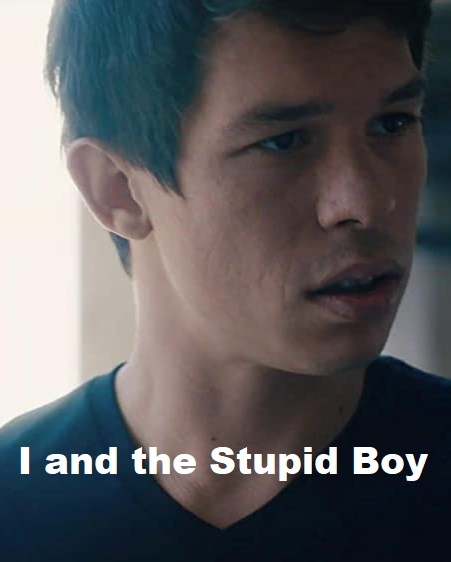 I And The Stupid Boy 2021 French 720P Webrip X264 Esub-Galaxyrg