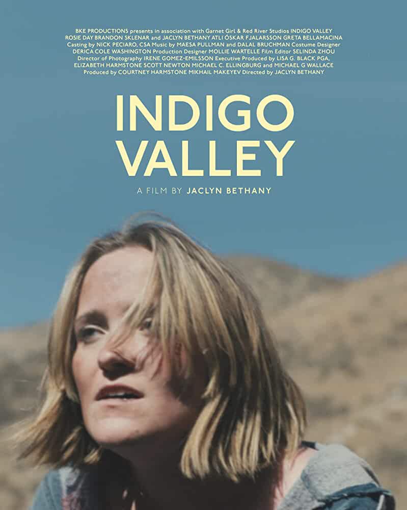 Indigo Valley 2020 720P Webrip 800Mb X264-Galaxyrg