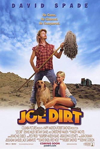 Joe Dirt (2001) 1080P Bluray X265 Hevc 10Bit Aac 5 1 Esub-Pav69