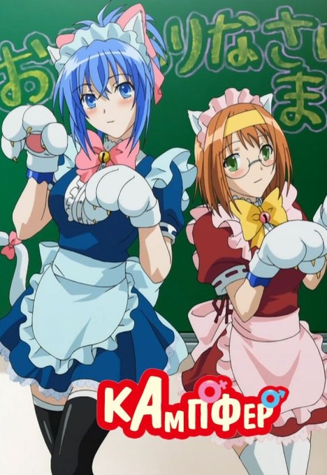 Kampfer 01