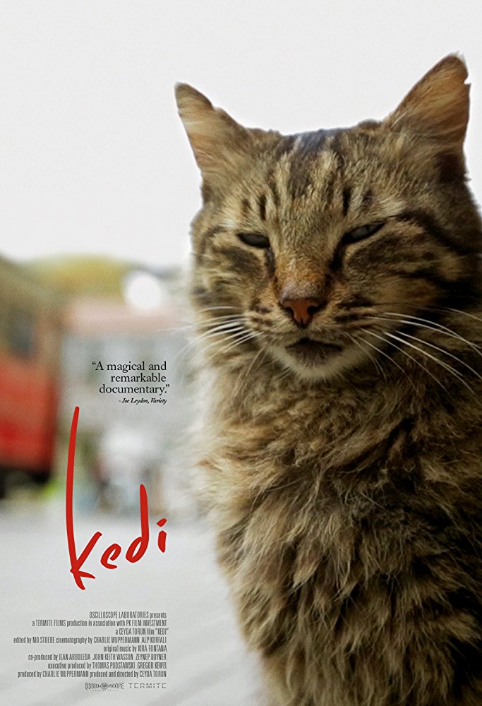Kedi 2016 720P Brrip 700Mb Mkvcage