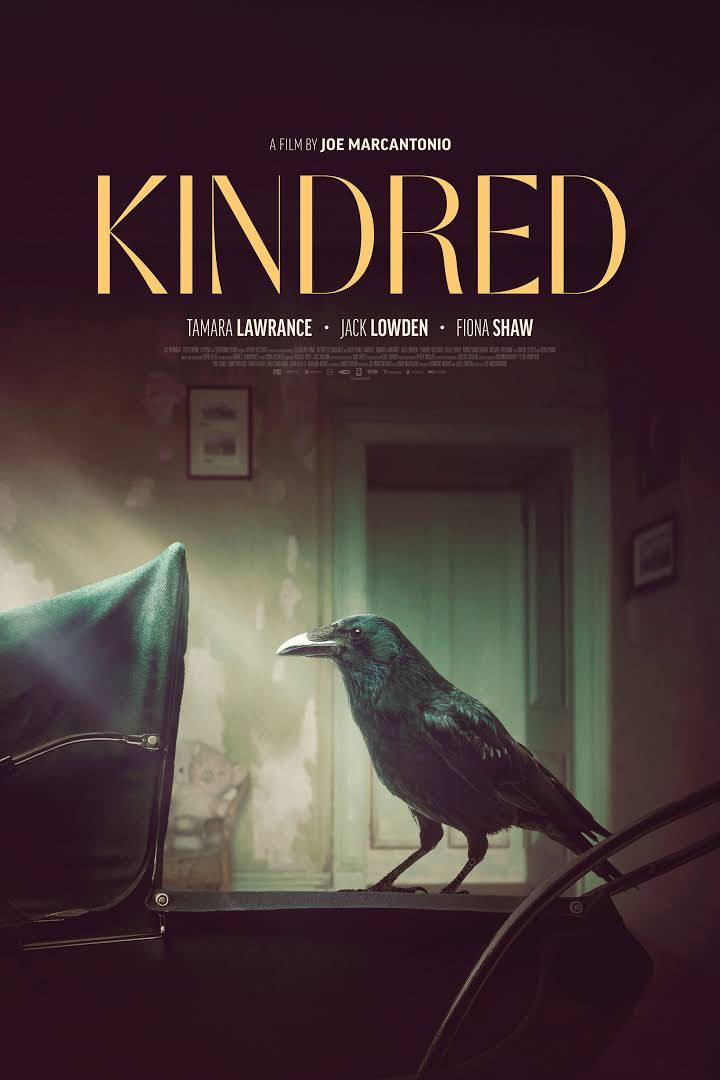 Kindred 2020 720P Bluray 800Mb X264-Galaxyrg