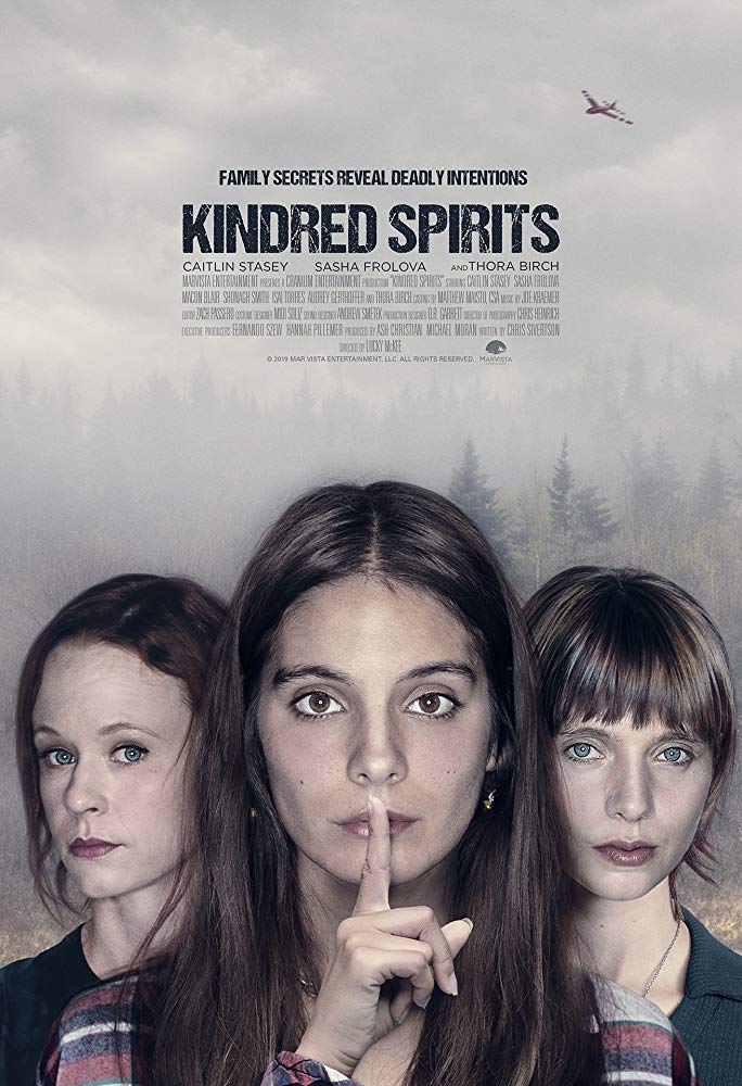 Kindred Spirits 2019 720P Webrip 800Mb X264-Galaxyrg