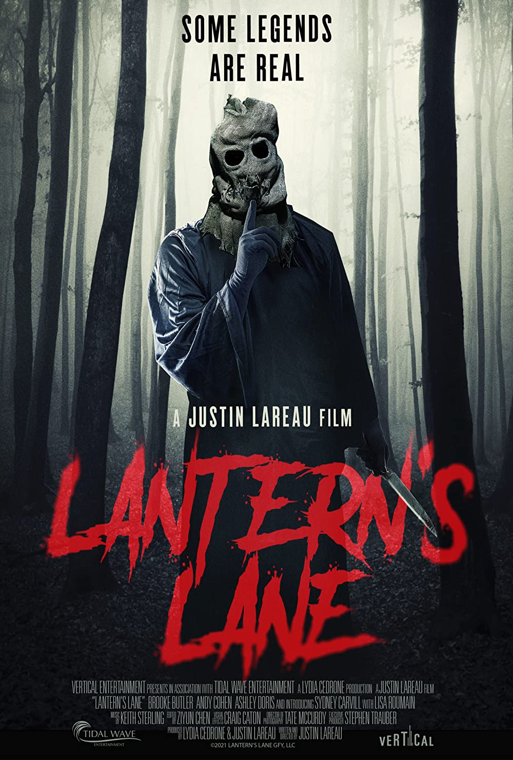 Lanterns Lane 2021 720P Webrip 800Mb X264-Galaxyrg