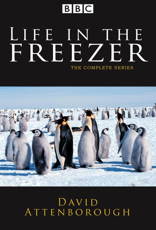 Life In The Freezer (1993) - S01E01 - The Bountiful Sea (576P Dvd X265 Afm72)