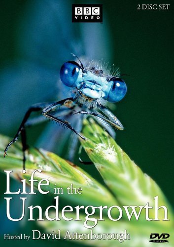Life In The Undergrowth (2005) - S01E01 - Invasion Of The Land (576P Dvd X265 Afm72)