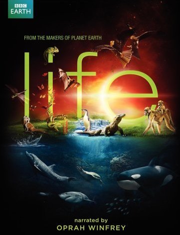 Life S01E01 Challenges Of Life 720P Brrip Mkvcage