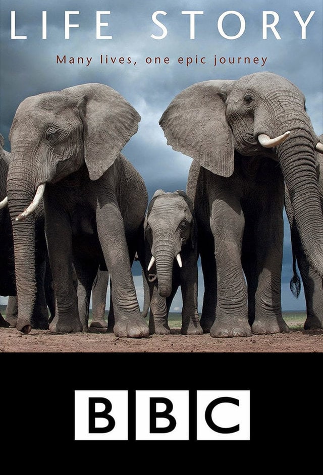 Life Story 2014 E01 First Steps 720P Bluray X264 500Mb-Pahe In