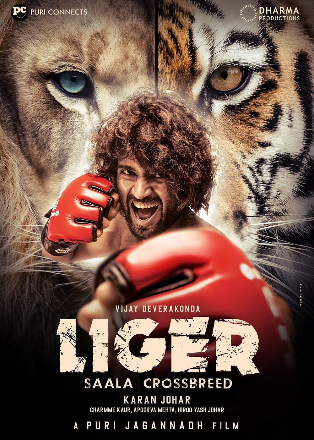 Liger (2022) 1080P Dsnp Webrip X264 Msubs [Dual Audio][Hindi 5 1 Telugu 5 1] -Mkvc