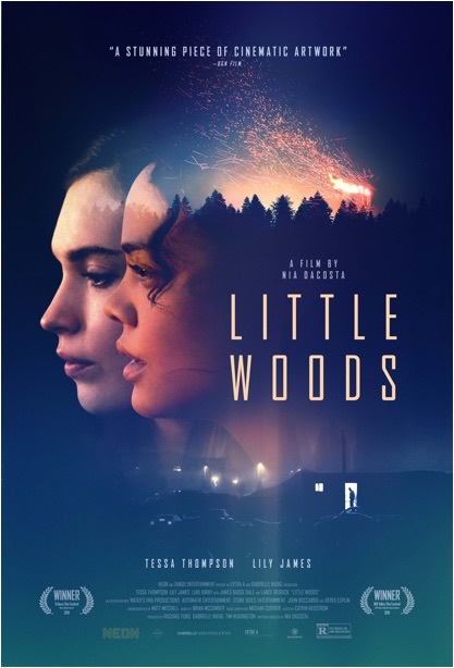 Little Woods 2018 720P Amzn Web-Dl X264-Mkvcage Ws
