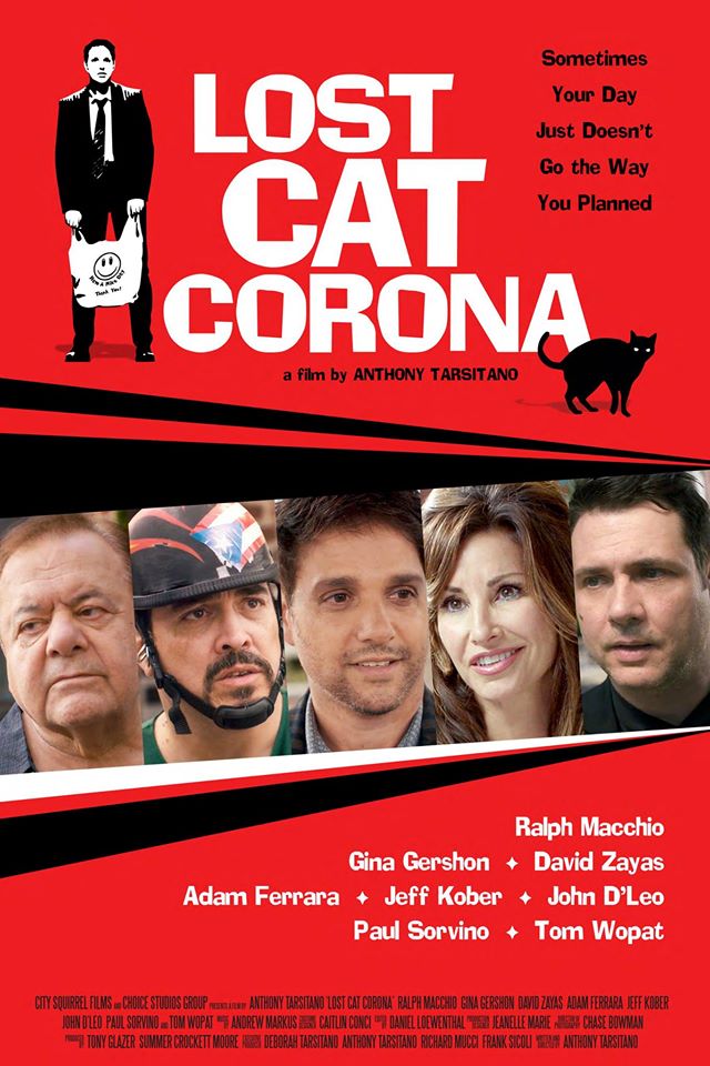 Lost Cat Corona 2017 720P Web-Dl 850Mb Shaanig