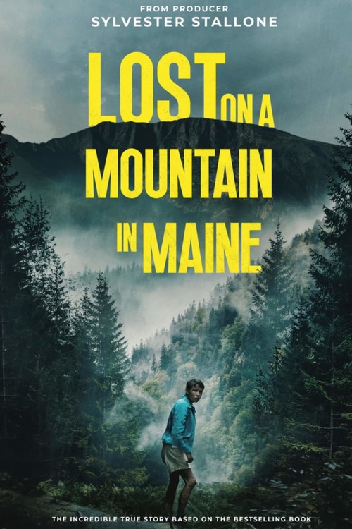 Lost On A Mountain In Maine (2024) 720P Bluray X264 Esub [Dual Audio][Hindi 5 1 English 5 1] -Msmod