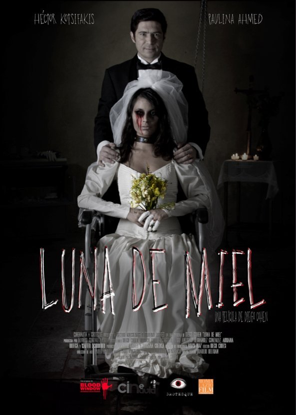 Luna De Miel Aka Honeymoon 2015 Spanish 1080P Nf Web-Dl X264 Dd5 1 Msubs-Qoq