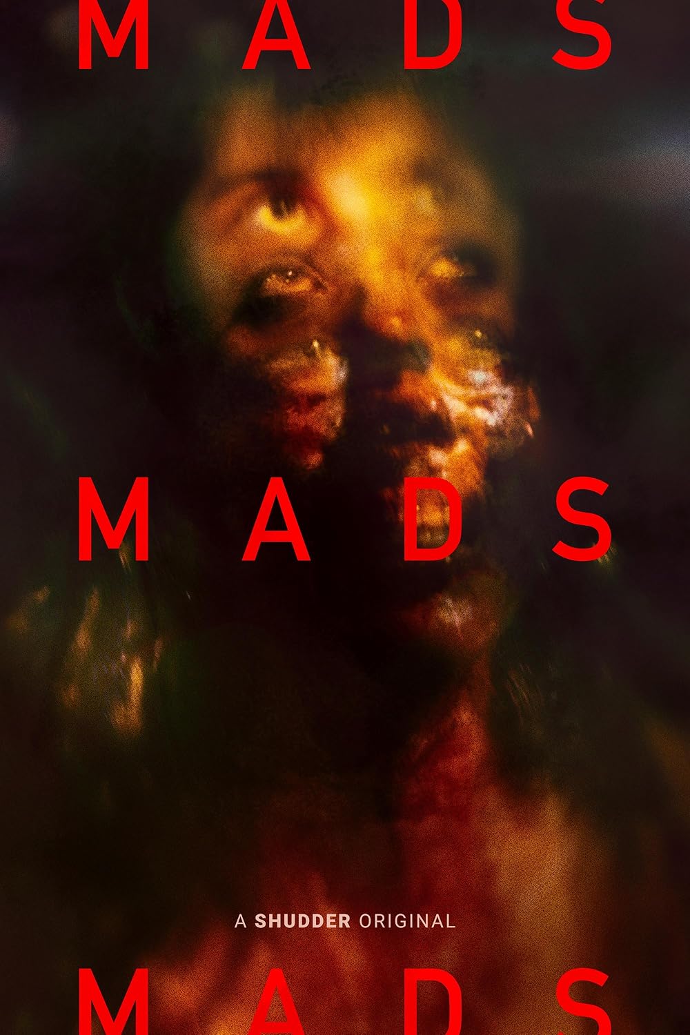 Mads (2024) French 1080P Amzn-Web X264 Aac 5 1 Esub-Mkvking