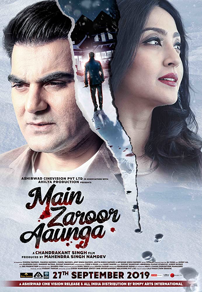 Main Zaroor Aaunga (2019) Hindi 1080P Webrip X264 Aac - Mkvcinemas