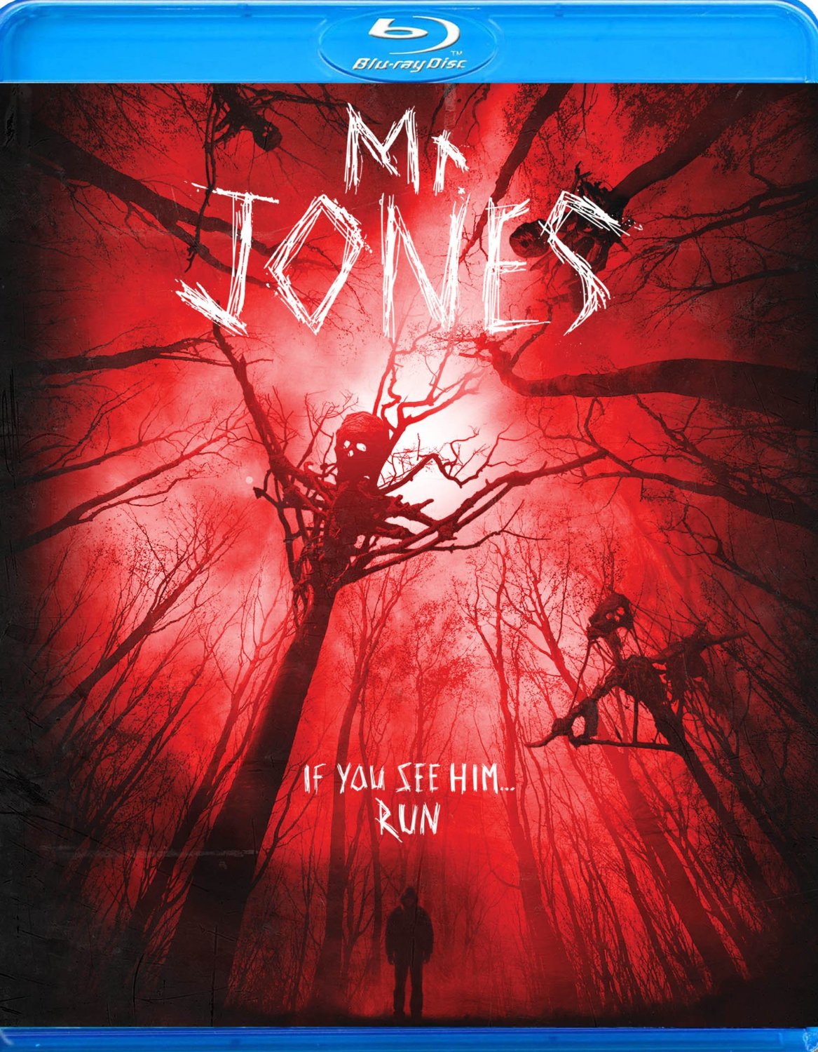 Mr Jones 2013 1080P Bluray X264 Yify