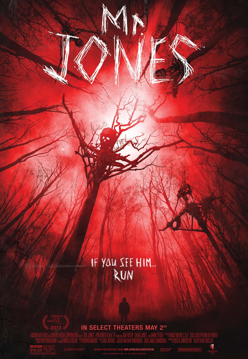 Mr Jones 2013 720P Bluray X264 Yify