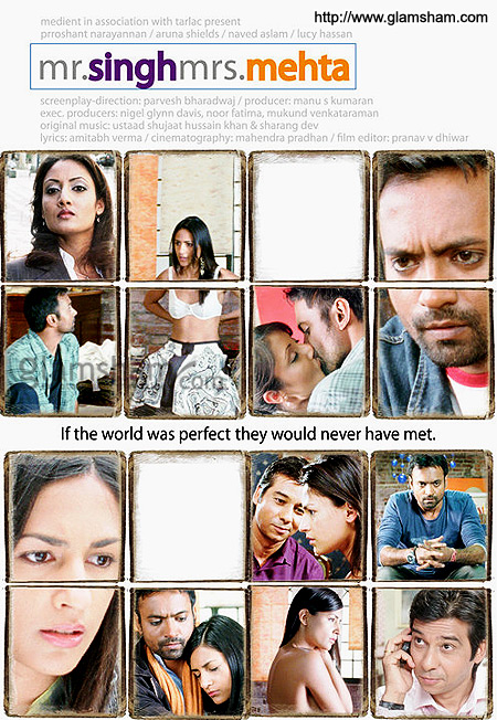 Mr Singh Mrs Mehta (2010) Dvdrip Xvid 1Cdrip - [Ddr]