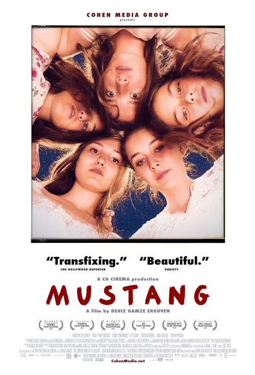 Mustang 2015 720P Brrip 850Mb Mkvcage