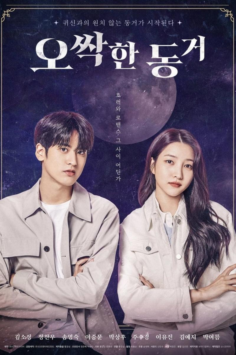 My Chilling Roommate (2022) 720P Atvp-Web X264 Esub [Dual Audio][Hindi 2 0 Korean 5 1] -Msmod