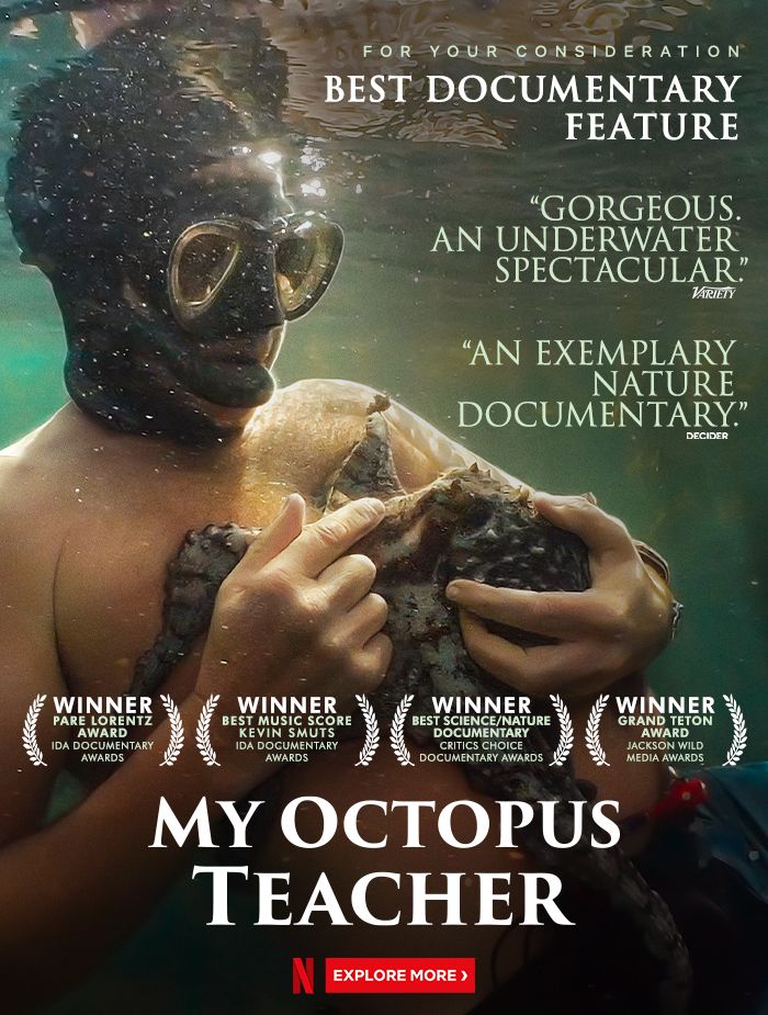 My Octopus Teacher (2020) 720P Nf Webrip X265 Hevc 10Bit Esub-Budgetbits