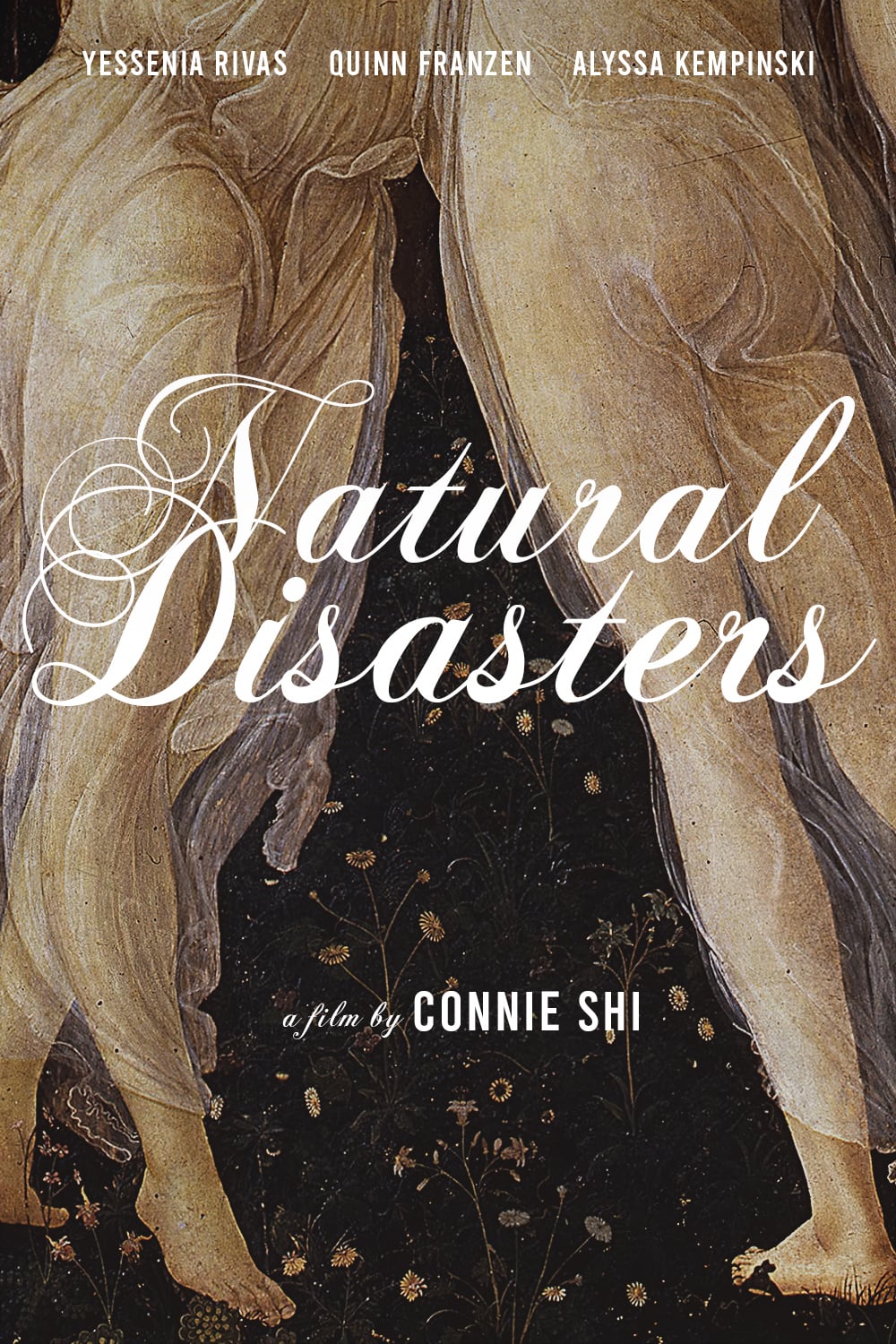 Natural Disasters 2020 720P Webrip 800Mb X264-Galaxyrg