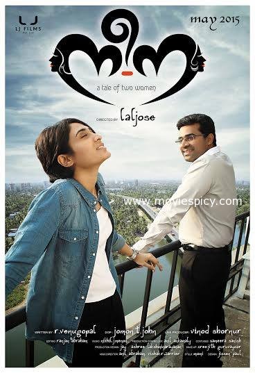 Nee-Na (2015) Malayalam Dvdrip 1Cd 700Mb Aac 5 1 Esub