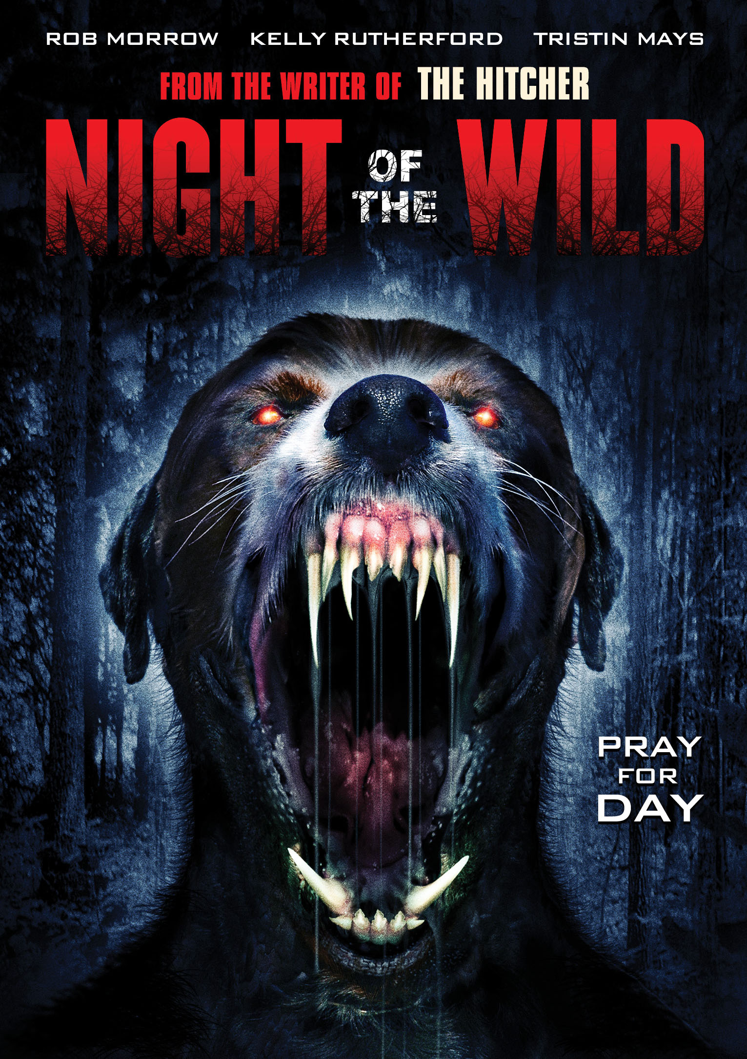 Night Of The Wild 2015 720P Bluray X264 [Yts Ag]