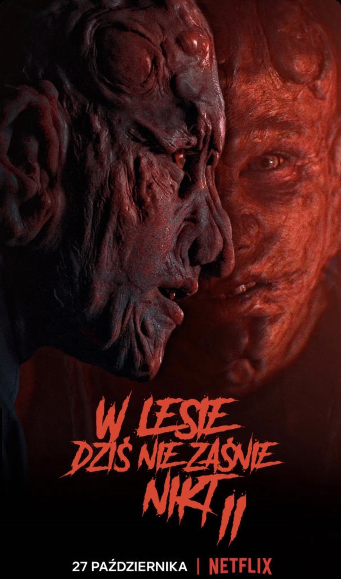 Nobody Sleeps In The Woods Tonight 2 2021 Polish 720P Webrip 800Mb X264-Galaxyrg