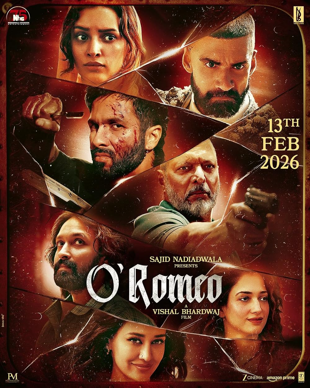 O Romeo (2026) Hindi 1080P Amzn Webrip X265 Hevc 10Bit Dd5 1 Esub - Hdhub4U