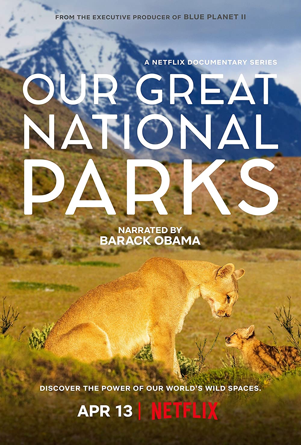 Our Great National Parks S01E01 720P Nf Webrip X264 Msubs [Dual Audio][Hindi 5 1 English 5 1] -Mkvc