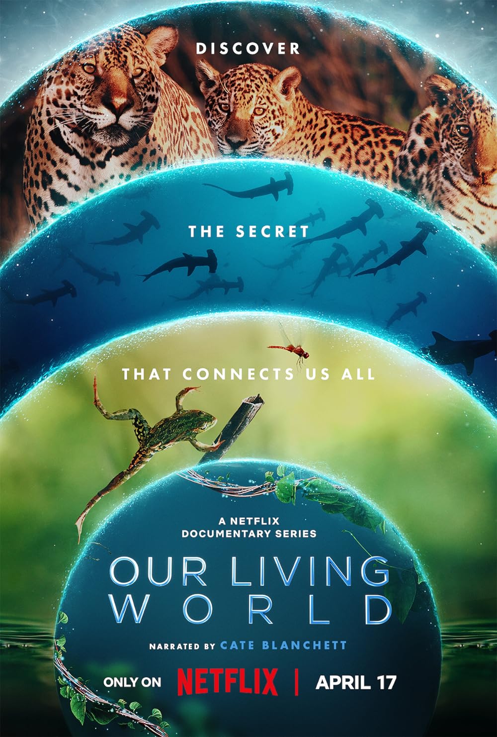 Our Living World S01E01 720P Nf-Web X264 Msubs [Dual Audio][Hindi 5 1 English 5 1] -Mkvc