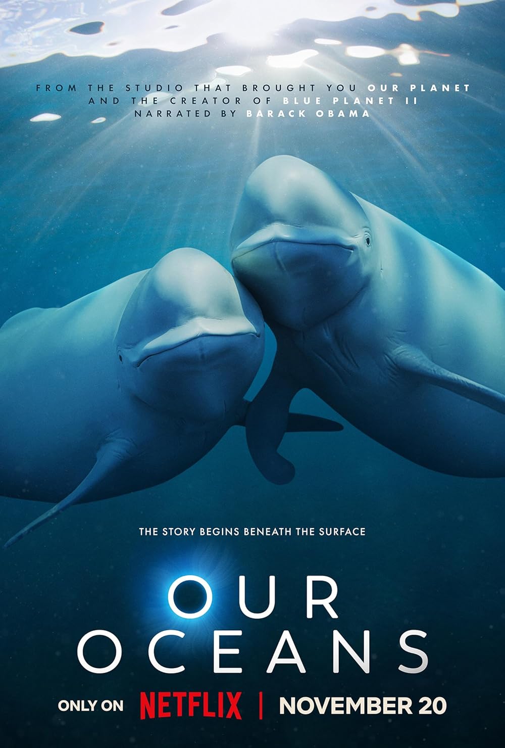 Our Oceans S01E01 720P Nf Webrip X264 Msubs [Dual Audio][Hindi 5 1 English 5 1] -Mkvc