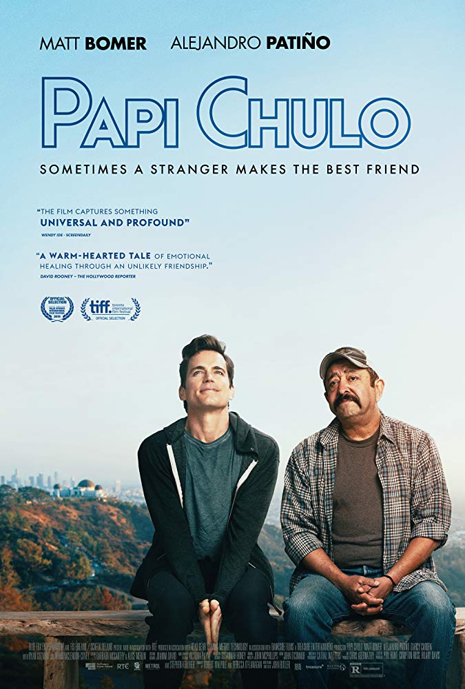 Papi Chulo 2018 720P Webrip 800Mb X264-Galaxyrg