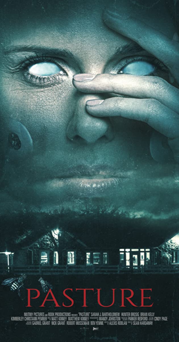 Pasture 2020 720P Webrip 800Mb X264-Galaxyrg