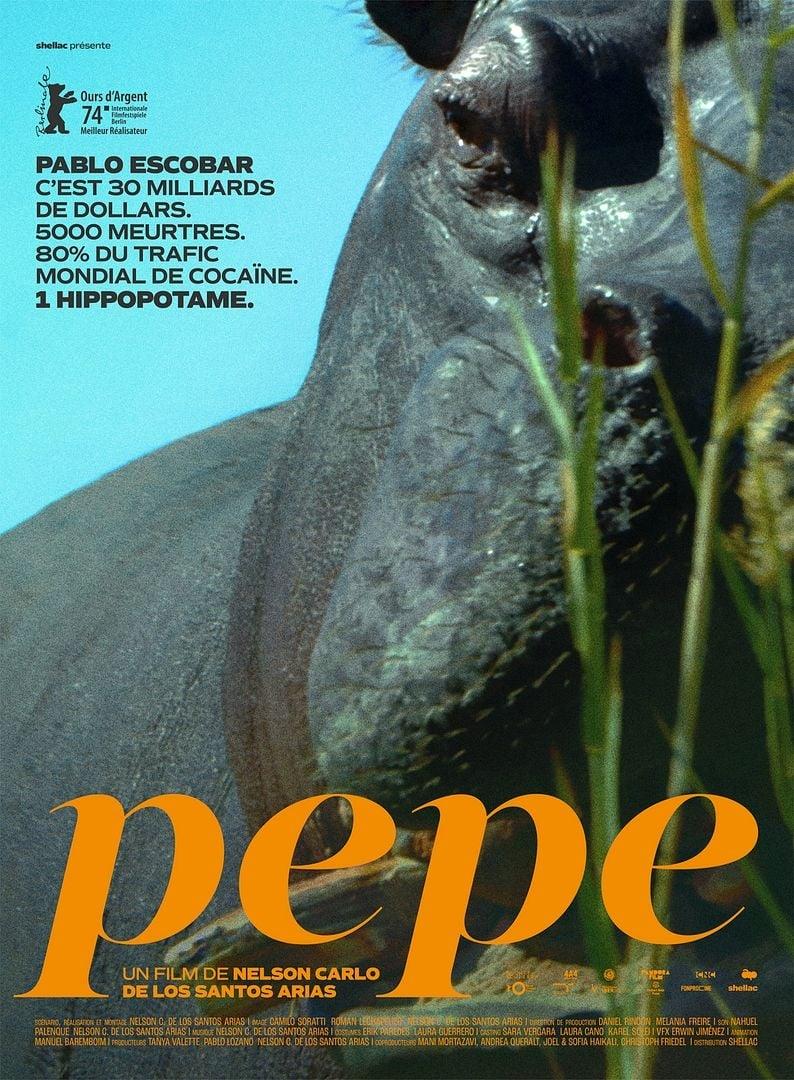 Pepe (2024) Uncut 720P Webrip X264 Esub [Dual Audio][Hindi 2 0 Kannada 5 1] -Mkvc