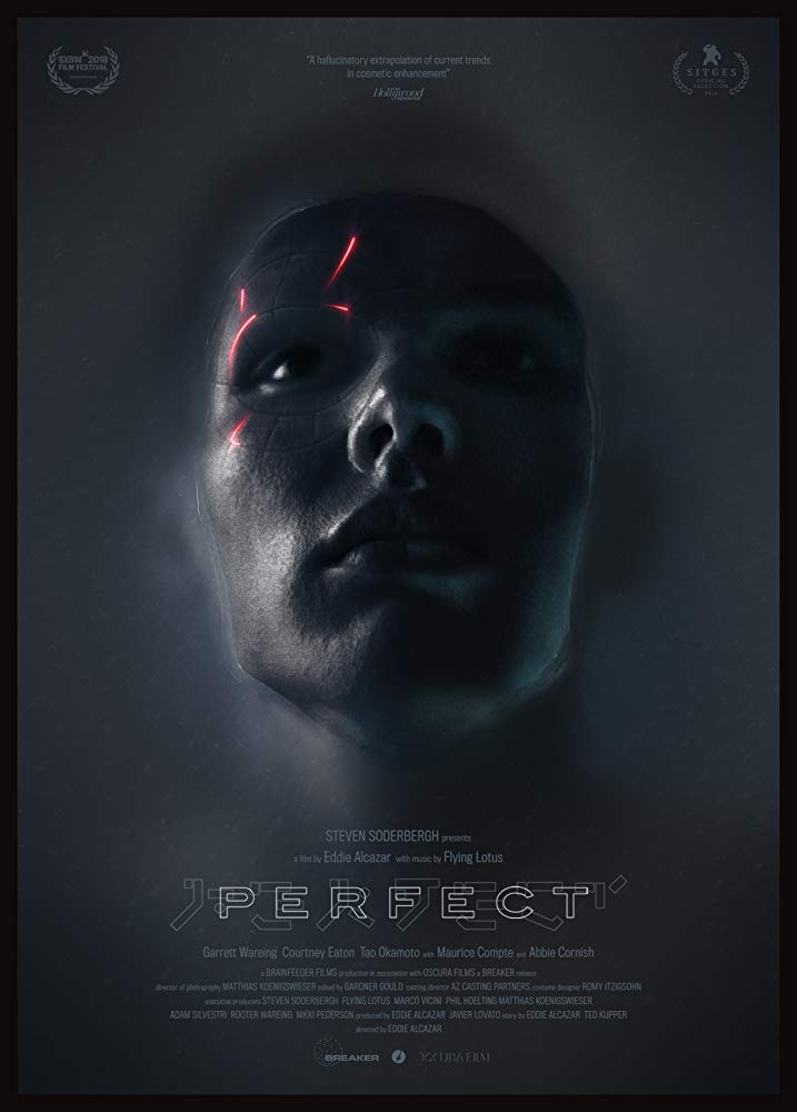 Perfect 2018 720P Webrip 800Mb X264-Galaxyrg