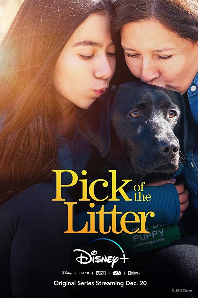 Pick Of The Litter S01E01 720P Dsnp Webrip X264-Galaxytv
