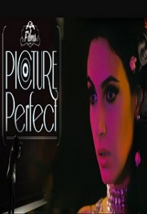 Picture Perfect 2015 Hindi Movies Dvdrip Xvid Aac