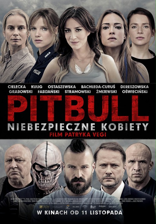 Pitbull Tough Women 2016 720P Brrip Mkvcage