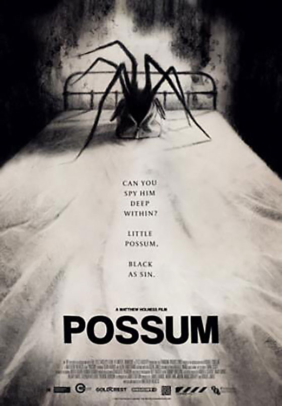 Possum 2018 720P Brrip X264-Mkvcage Ws