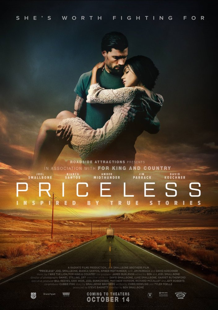 Priceless 2016 720P Bluray 900Mb Shaanig