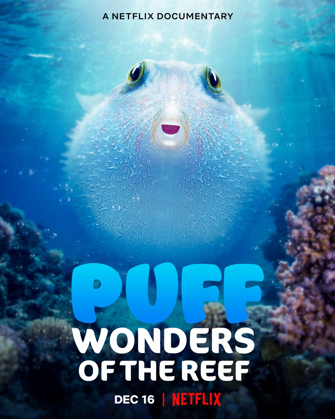 Puff Wonders Of The Reef (2021) 720P Nf-Web X264 Msubs [Dual Audio][Hindi 5 1 English 5 1] -Mkvc