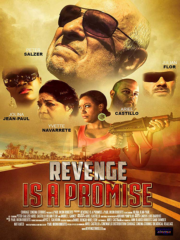 Revenge Is A Promise 2018 720P Webrip 800Mb X264-Galaxyrg